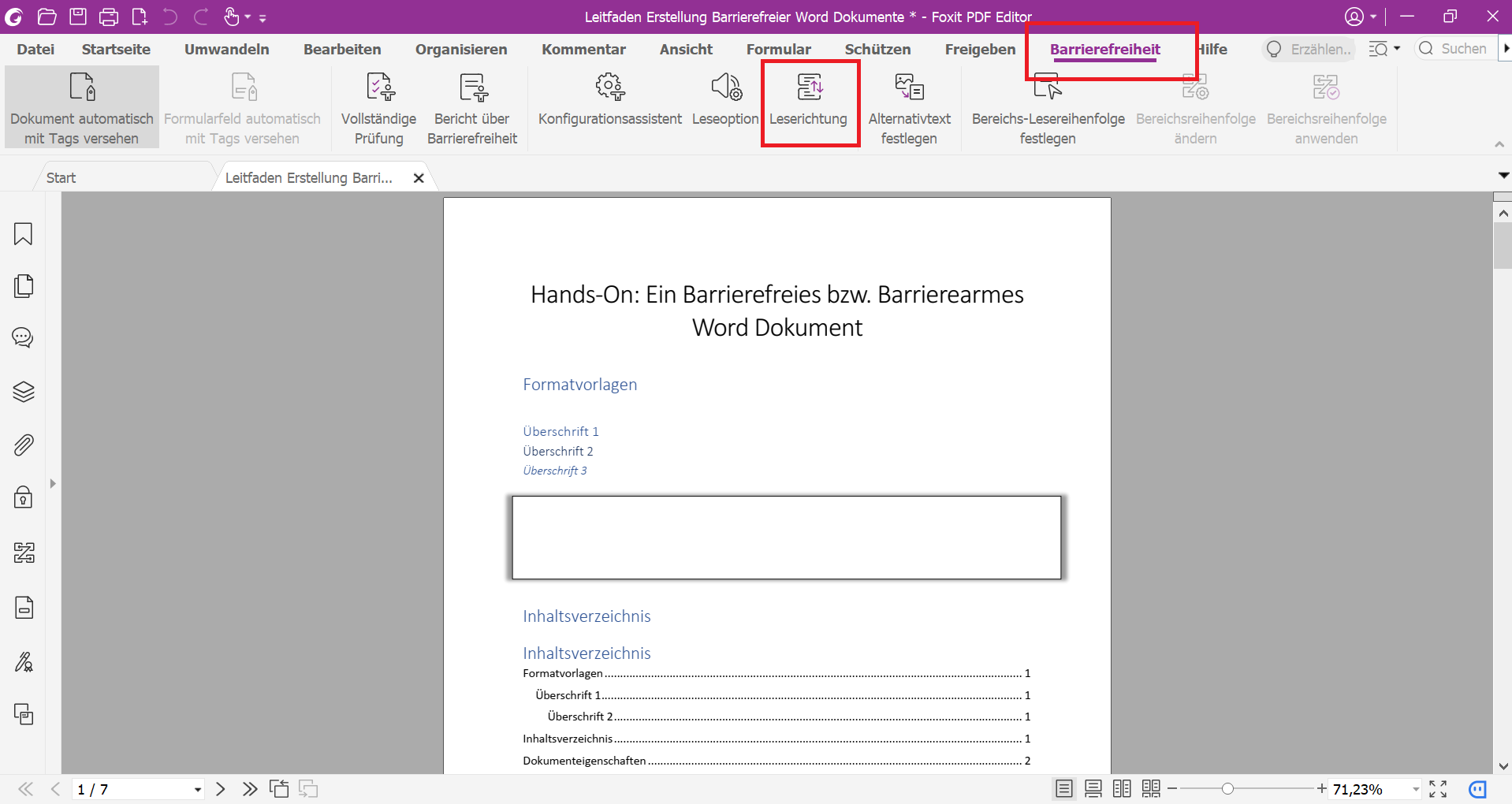PDF Datei mit geöffnetem Barrierefreiheit Reiter