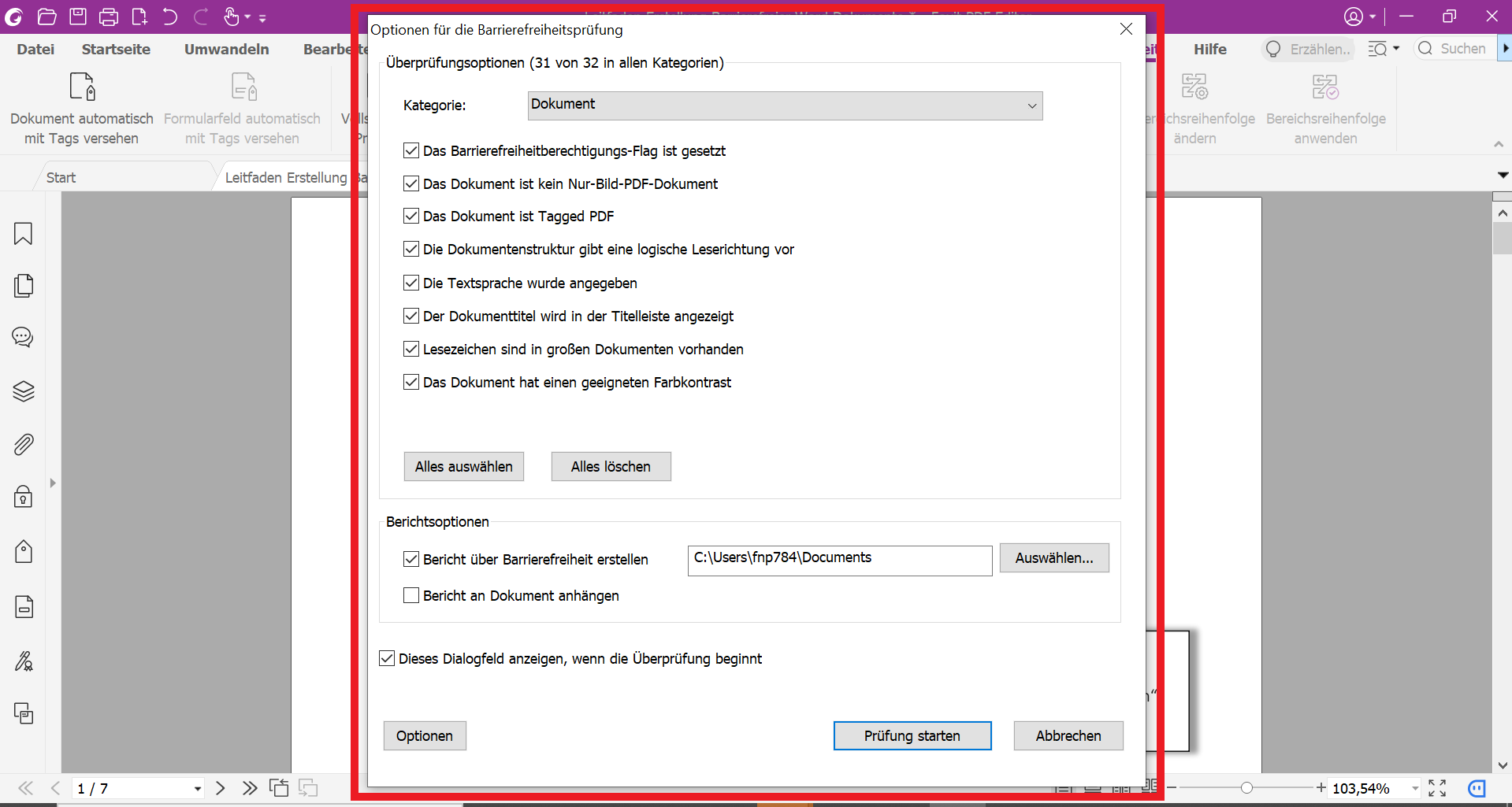 PDF Dokument in dem die vollständige Barrierefreiheitsprüfung ausgewählt wurde, wodurch das Optionsmenü dafür geöffnet ist. 